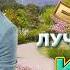 Игорь Кибирев 50 Лучших Песен