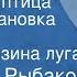 Анатолий Рыбаков Бронзовая птица Радиопостановка Часть 2 Тайна Халзина луга