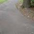 Walking In A Park 2 Music Song Nature