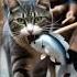 Cat Bites Fish Run Funny Animals Cute Alat Crashdrive Cat Alatmusik Pets Catlover