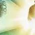 Ramin Djawadi Flower Of The Universe A Wrinkle In Time Soundtrack