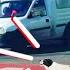 Stray Dog Helps Kids Safely Cross The Street The Dodo