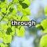 A Powerful Prayer For Physical Healing