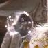 Inside The Labyrinth FULL MOVIE Jim Henson David Bowie Jennifer Connelly Documentary