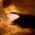 Jules Massenet Thais Act II Meditation