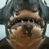 This Is A Very Dangerous Animal Ytshorts Animal Shortvideo