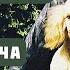 ВЕРНЫЙ ДРУГ Особо чувствительным не слушать Песня притча Автор и исполнитель Светлана Копылова