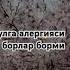 эски дустлар