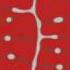 Phase Field Simulation Of Cellular Solidification