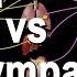 Autonomic Nervous System Sympathetic Vs Parasympathetic Animation