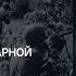 Алексей Исаев Разгром 2 й ударной армии