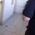 Немного о необходимой обороне Голосеевский стрелок