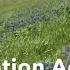 Synthesis Develop Outdoor Advertising Control Reference Manual For TxDOT 0 7085