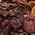 Korean BBQ At Home LA Galbi Edition Koreanfood Homemade Homecook Shorts Momlife Food 미국맘