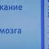 Окончание программы Сегодня и начало программы Ты не поверишь НТВ 01 10 2019