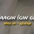 Naagin Gin Gin Sped Up Reverb