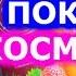 ПОКУПКИ КОСМЕТИКИ ДАРЮ Braun Silk Epil 7