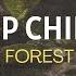 DARK FOREST Ambience And Music Sounds Of Dark Misty Forest With Ambient Music