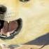 Le Austrian Painter Doge Mood Parody I M Always Mean Rucka Rucka Ali