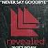 Hardwell Dyro Never Say Goodbye Feat Bright Lights RYZET Remix