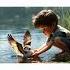 Little Boy Is Saving Life Of A Small Bird Shorts Smallbirds