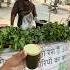 ZEHAR Wala Juice In Just 40 Shorts Zehar Wala Juice Drink Youtubeshorts Food Ludhiana