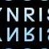 GOOSE SYNRISE HOUSEMEISTER REMIX