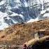 A Challenging Movement Of Bachendri Pal Climb On Mt Everest Short Travel Yt Music India Like
