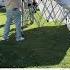 10x10 Pop Up Canopy Shade Nifty Diy Lifecomplexities Oregon Socialcat Frontyard Crownshade