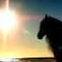 123 Desert Rose Sting Featuring Aishwarya Rai Legendado