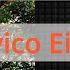 Solo Chord Burning Ludovico Einaudi Synthesia Piano