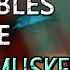 Terraria 1 3 Equipables Guide ENDLESS MUSKET POUCH
