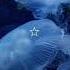 Jellyfish Playlist 46 Minutes Of Becoming A Jellyfish Tysm For 1 30k