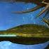 Top 15 Biggest Organic Bio Ships In Sci Fi Universe