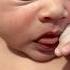 Hungry Bird In The World Cutebaby Viralvideo Cute Babyshorts