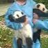 Everyone Holds A Panda Cub In Their Arms Except Me IPanda