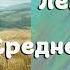 АУДИОКНИГА ПОПАДАНЦЫ ЛЕКАРЬ В СРЕДНЕВЕКОВЬЕ