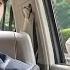 Use Window As Mirror Girl Dress Up Ugly To Mess Up Date Unware CEO In Car See Everything Love Her