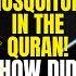 The Miracle Of MOSQUITOES In THE QURAN How Did MUHAMMAD Peace Be Upon Him KNOW