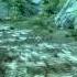 Skyrim Treasure Map I Guide