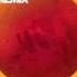 UMEK Olivier Giacomotto Wombing Original Mix Definitive