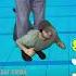 Trust Issues Bother Us All Swimming Pool Notrust