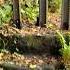 Never Seen Before Wales Wrexham Rural Countryside Path Walk Funny Silly Gate
