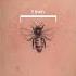 Realistictattoo By Rustem Iristattoo Tattoo Miamitattoo Tattooshop Tattooartist