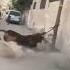 Khatarnak Bull Ki Qurbani Part 2 HEAVY Bull Qurbani Bakra Eid 2022 Eid Ul Adha 2021