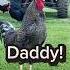 Happy Father S Day Oh Dad Dada Daddy Fathersday Happyfathersday Dad Daddy Dada Chickens