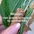 Rosemary Water Refresh Hairgrowth Rosemarywater