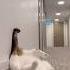 JasonDeruloTV Cat GotPermissionToPost From Eliethehallwaycat TalkDirty