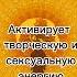 Раскрытие Свадхистаны Чакры Работа с Чакрами Активация Чакр медитация чакры свадхистана