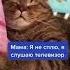 Как храпят коты